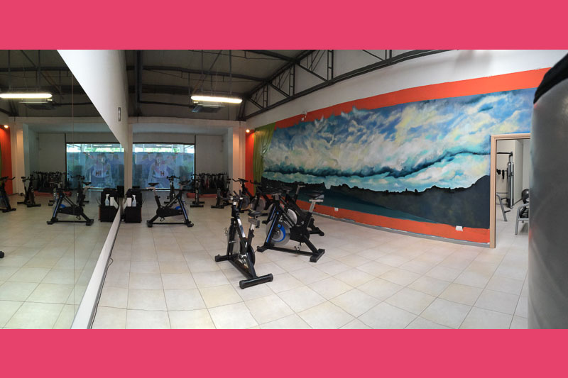 Dynamics Wellness Fitness